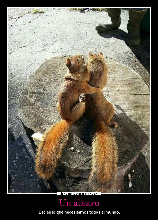 Un abrazo - Eso es lo que necesitamos todos el mundo.