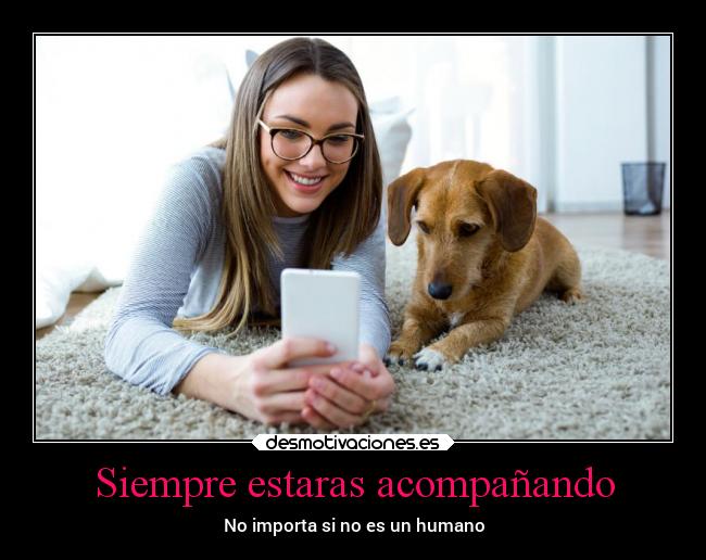 Siempre estaras acompañando - No importa si no es un humano