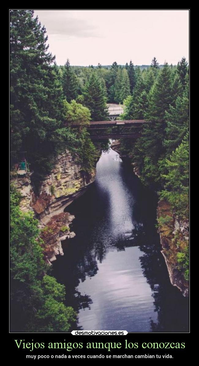 Viejos amigos aunque los conozcas -
