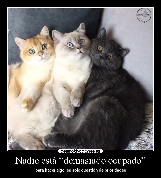 Nadie está “demasiado ocupado” - para hacer algo, es solo cuestión de prioridades