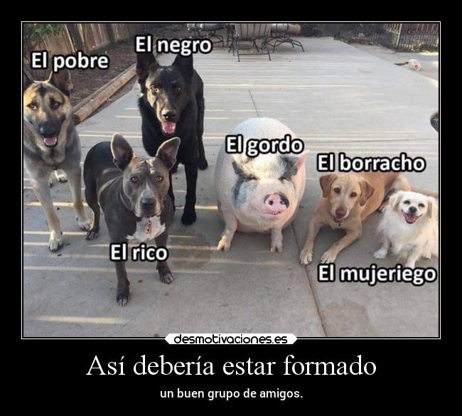 Así debería estar formado -