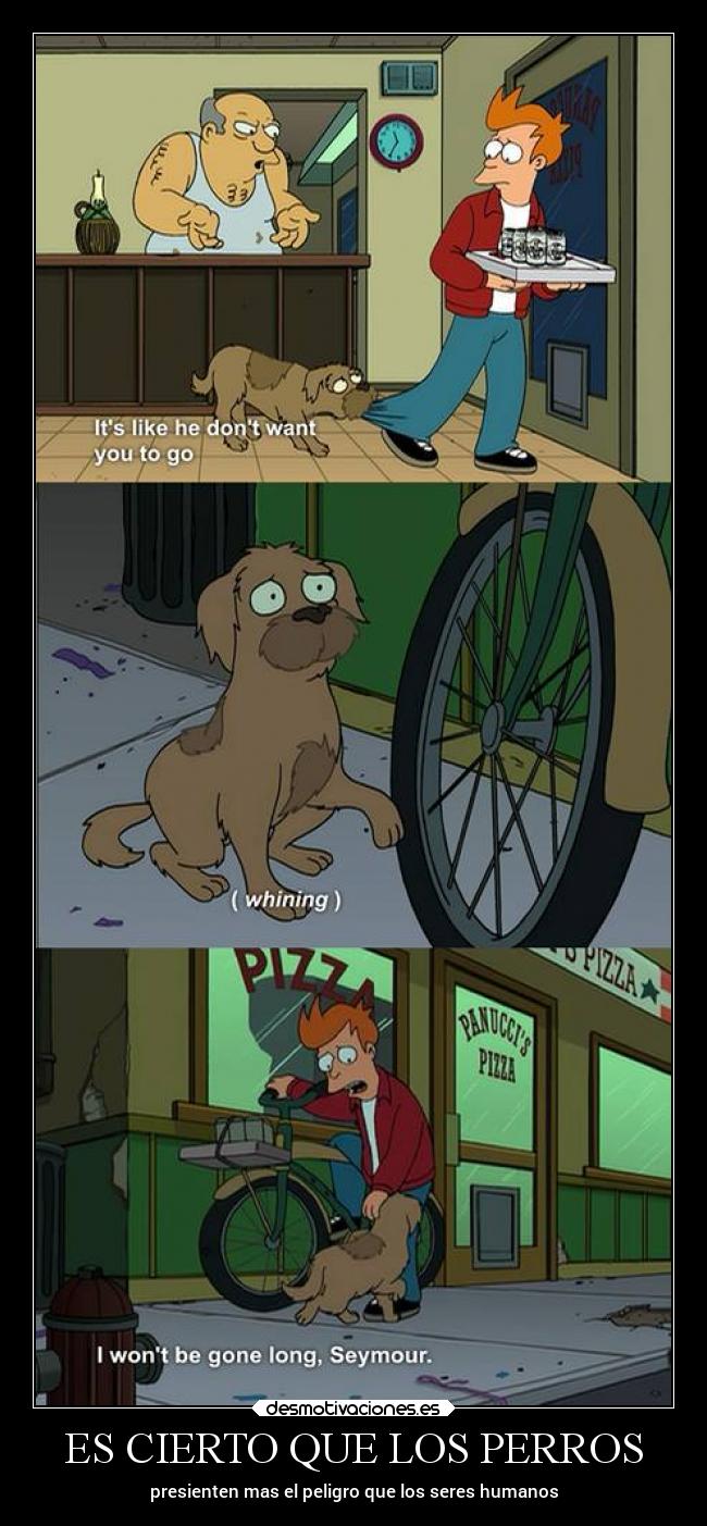 ES CIERTO QUE LOS PERROS - presienten mas el peligro que los seres humanos