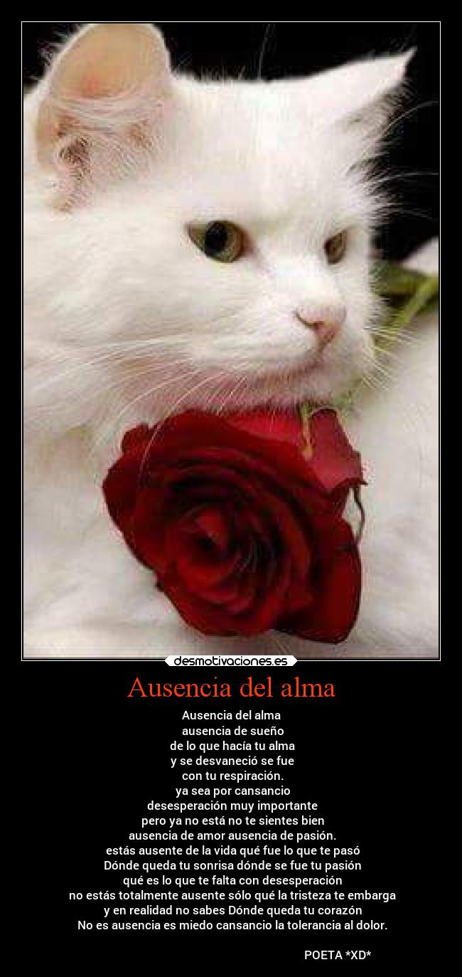 Ausencia del alma - 
