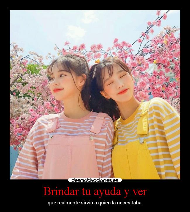 Brindar tu ayuda y ver -