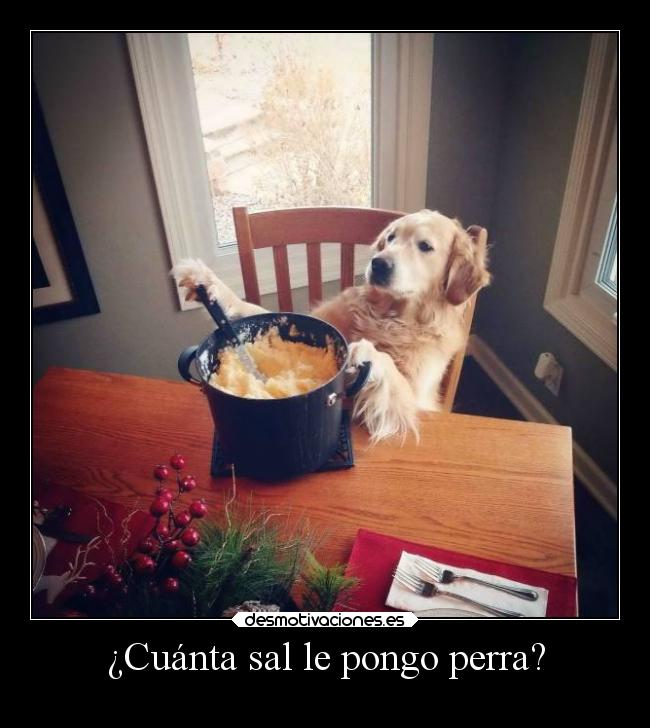 ¿Cuánta sal le pongo perra? - 