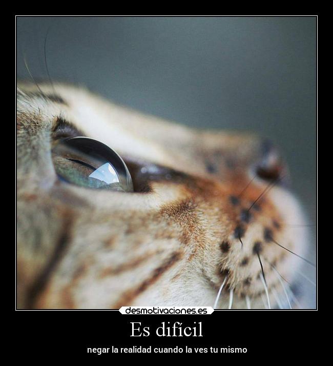Es difícil - 