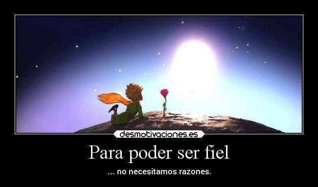 Para poder ser fiel - ... no necesitamos razones.