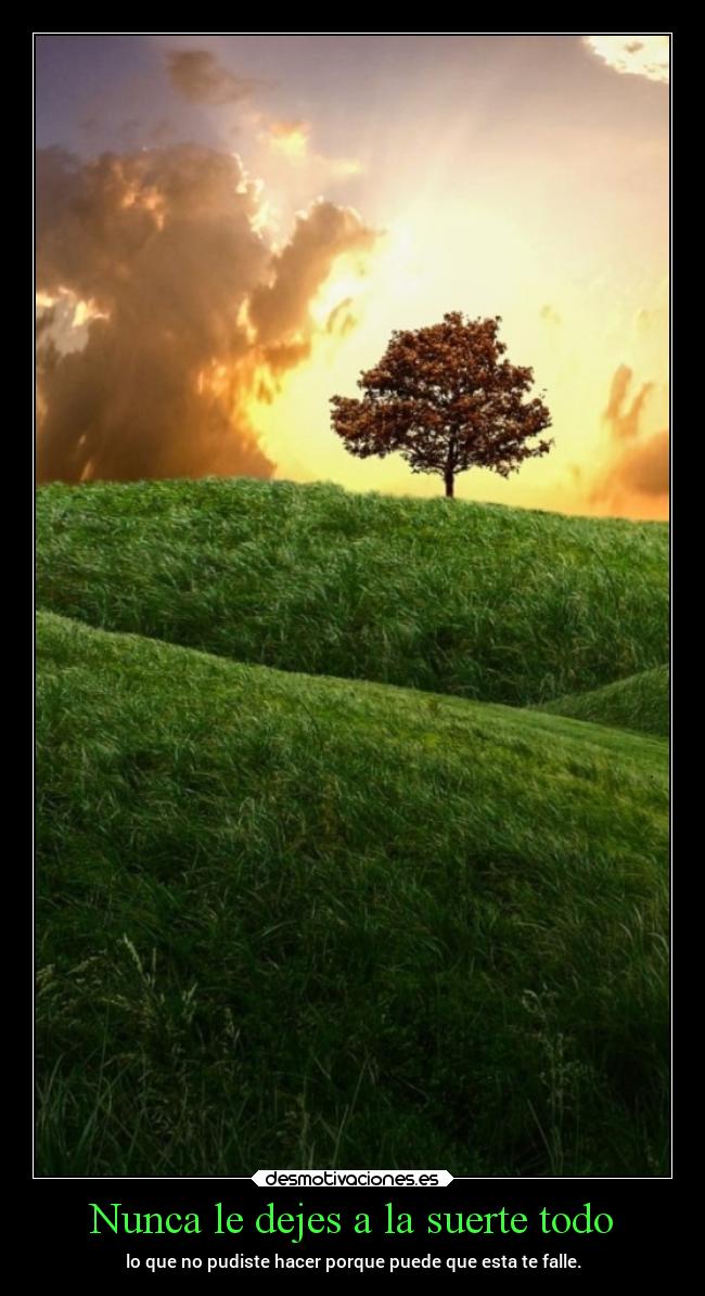 Nunca le dejes a la suerte todo - 