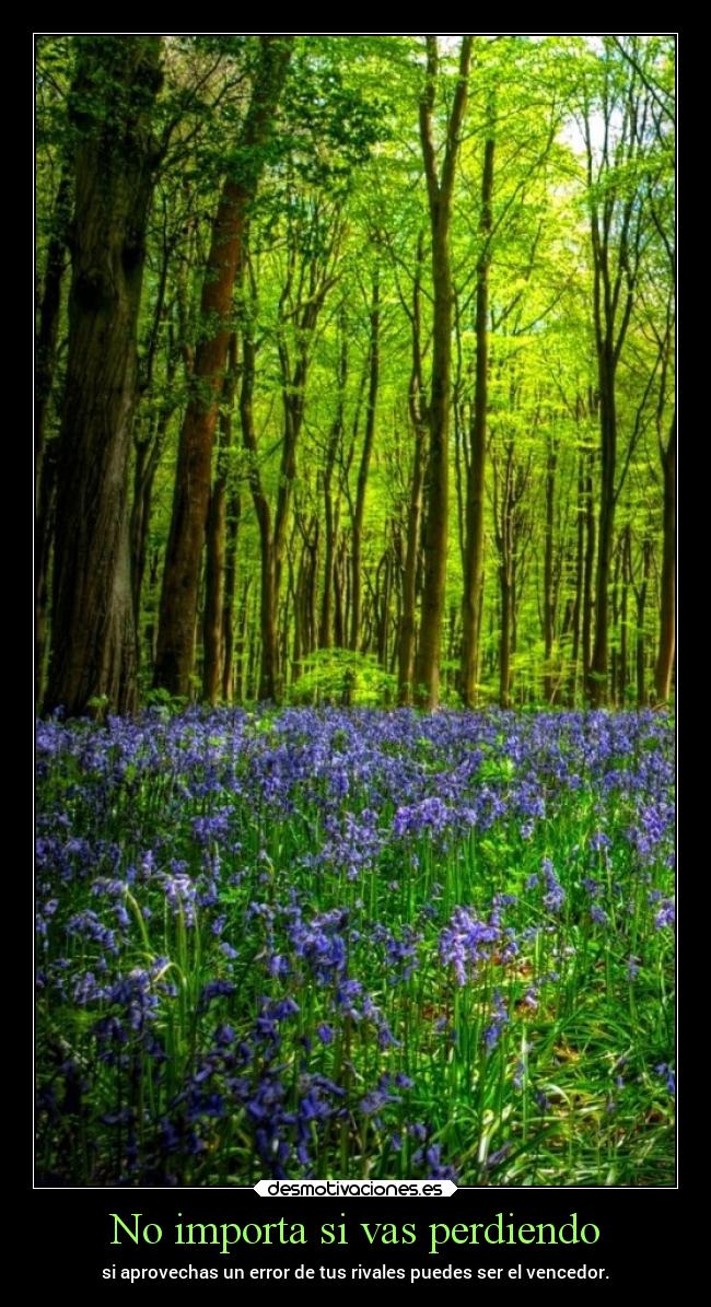 No importa si vas perdiendo -