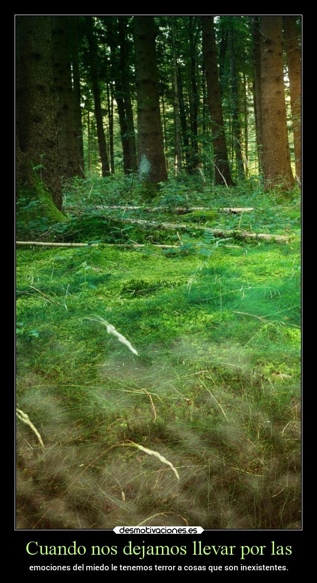 carteles desmotivaciones chopper igbt desmotivaciones