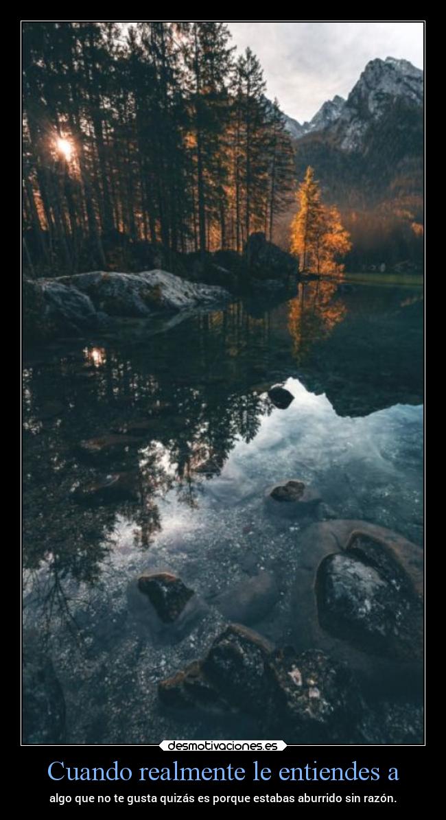 Cuando realmente le entiendes a -