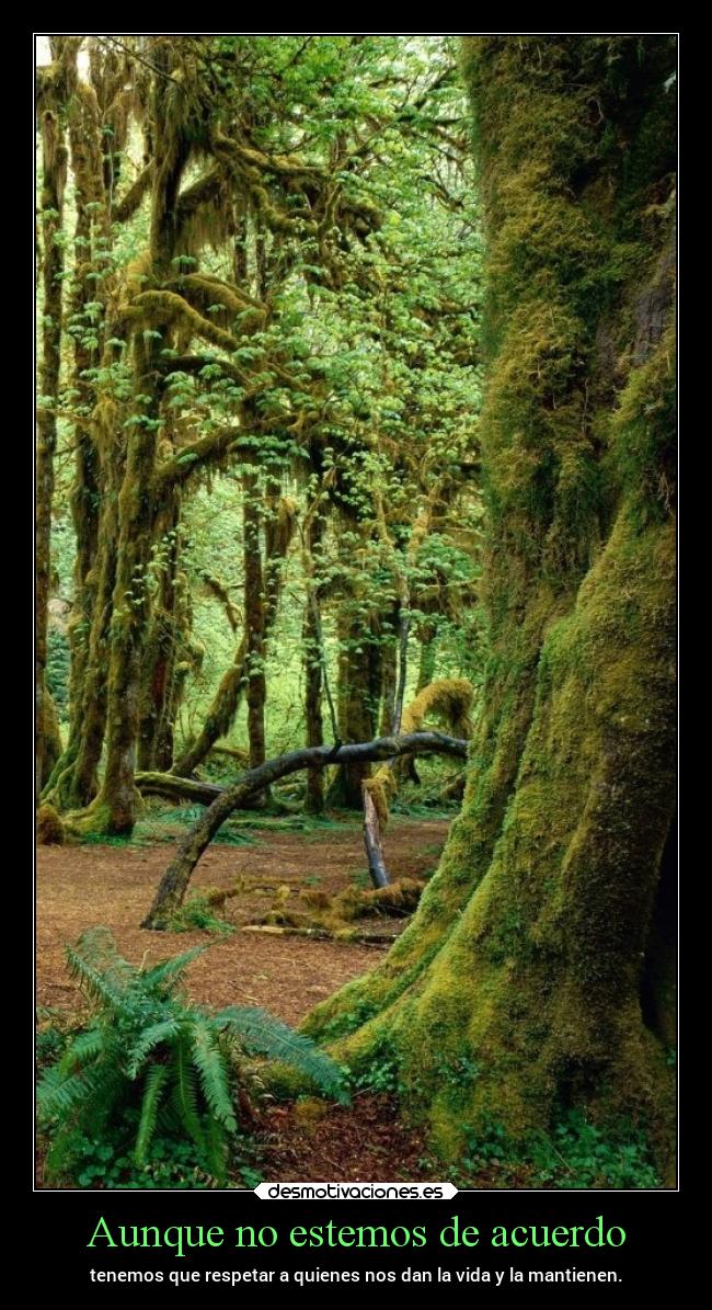 Aunque no estemos de acuerdo -