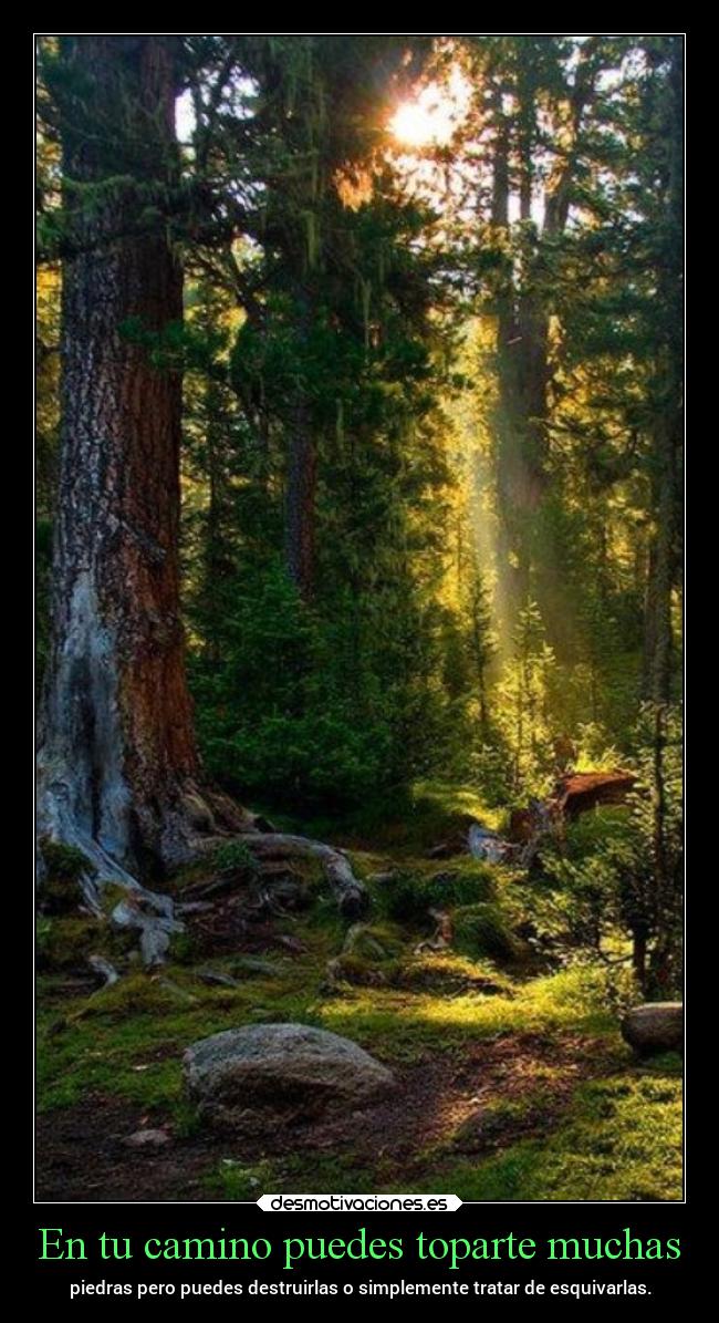 En tu camino puedes toparte muchas - 