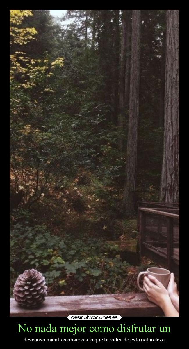 No nada mejor como disfrutar un - 
