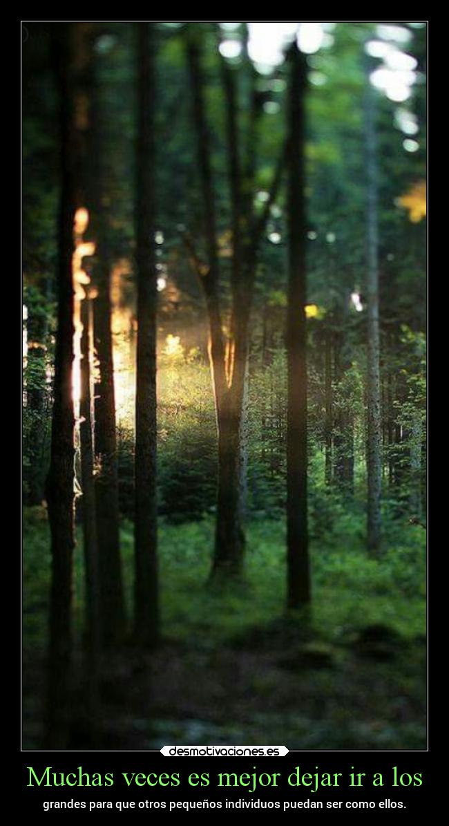 Muchas veces es mejor dejar ir a los -