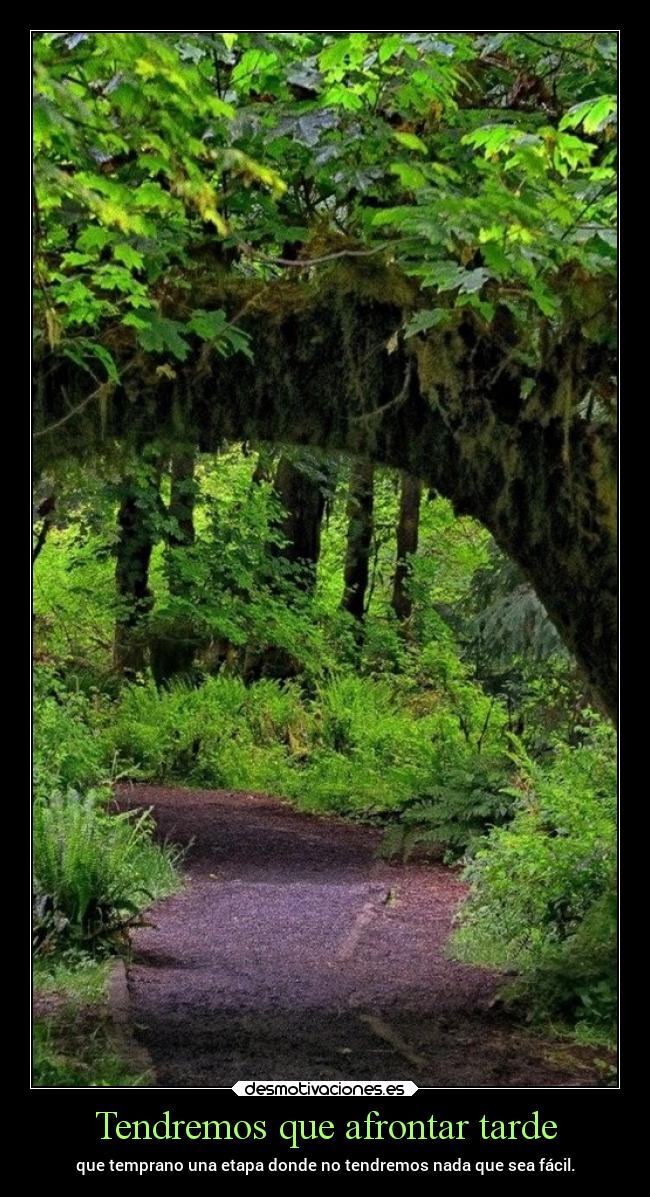 Tendremos que afrontar tarde -