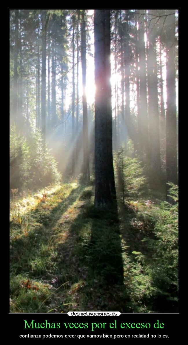 Muchas veces por el exceso de - 