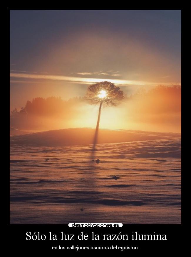 Sólo la luz de la razón ilumina -