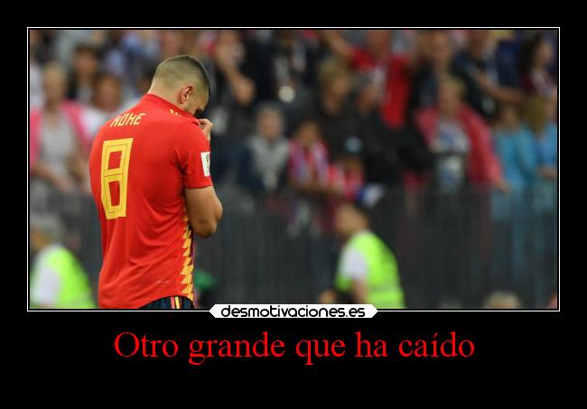 Otro grande que ha caído - 
