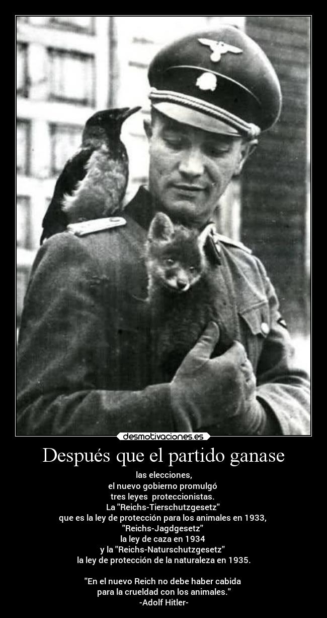 Después que el partido ganase - las elecciones,
el nuevo gobierno promulgó 
tres leyes  proteccionistas. 
La Reichs-Tierschutzgesetz 
que es la ley de protección para los animales en 1933, 
Reichs-Jagdgesetz 
la ley de caza en 1934 
y la Reichs-Naturschutzgesetz 
la ley de protección de la naturaleza en 1935.

En el nuevo Reich no debe haber cabida 
para la crueldad con los animales.
-Adolf Hitler-