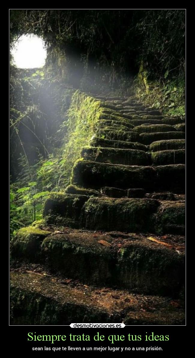 Siempre trata de que tus ideas - 