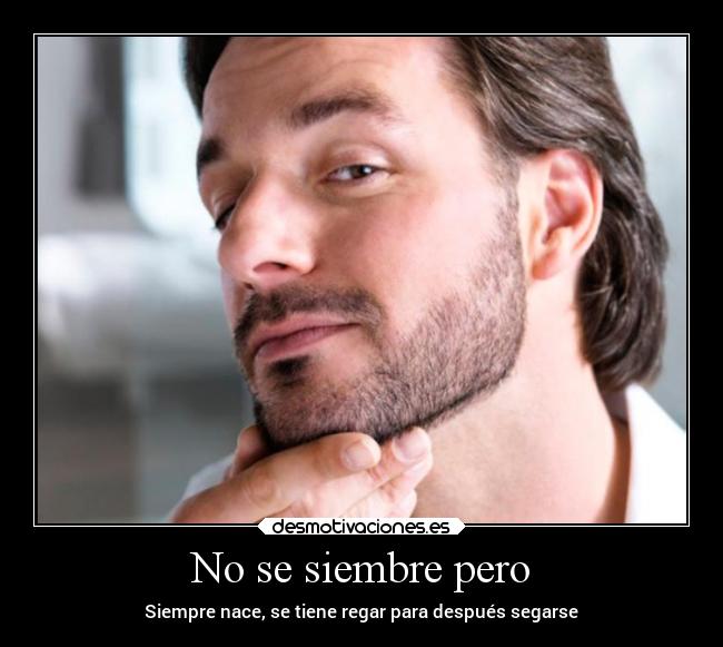 No se siembre pero -