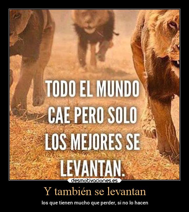 Y también se levantan -