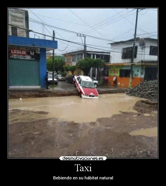 Taxi - 