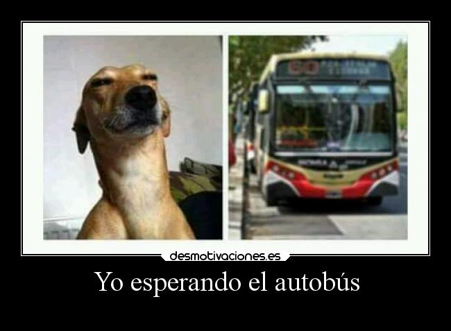 Yo esperando el autobús -