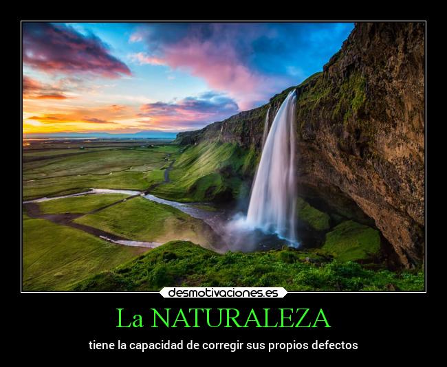 La NATURALEZA -
