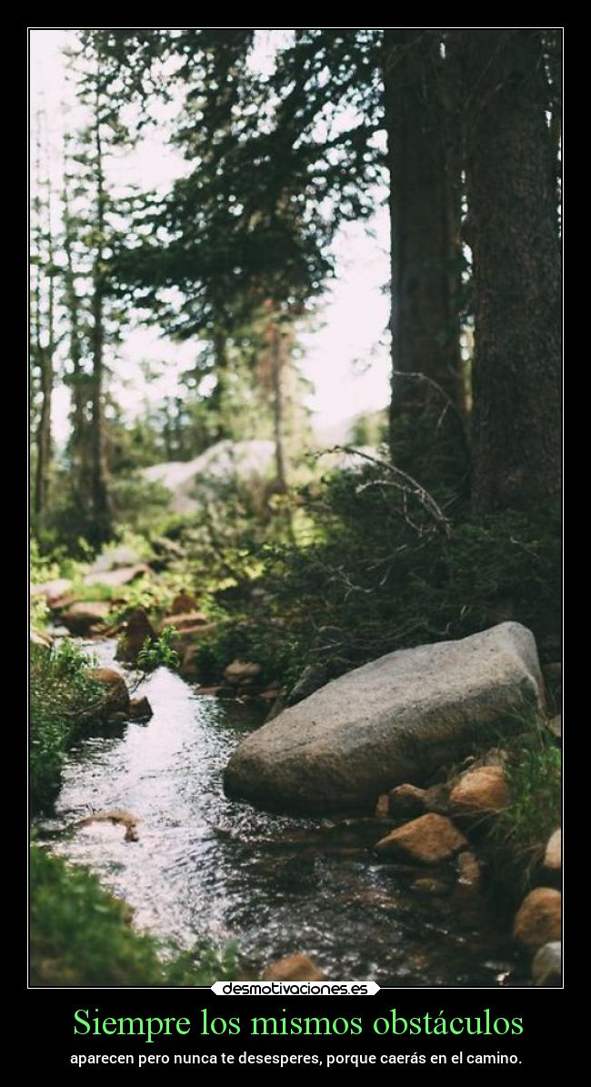 Siempre los mismos obstáculos - 