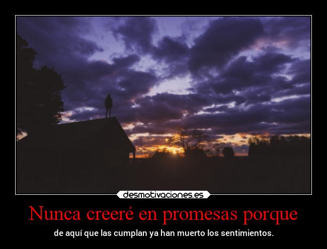 Nunca creeré en promesas porque -