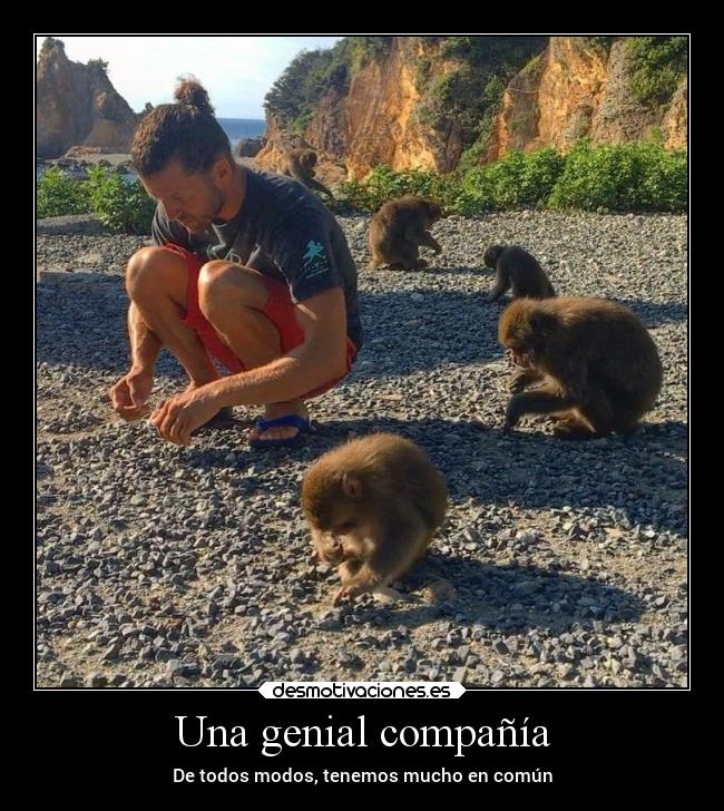 carteles sociedad humor criticas lunaless desmotivaciones