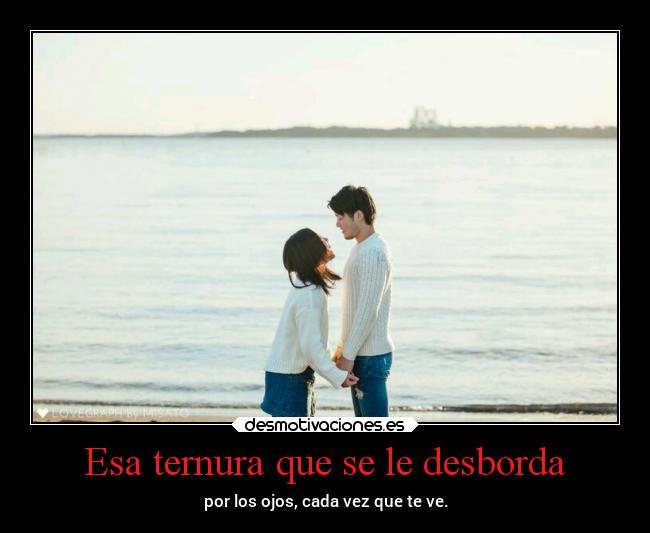 carteles vida amor aishiterumago fairymago projectd desmotivaciones