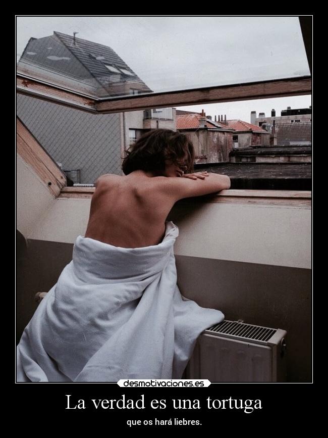 La verdad es una tortuga -