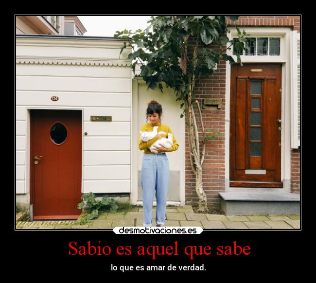 Sabio es aquel que sabe -