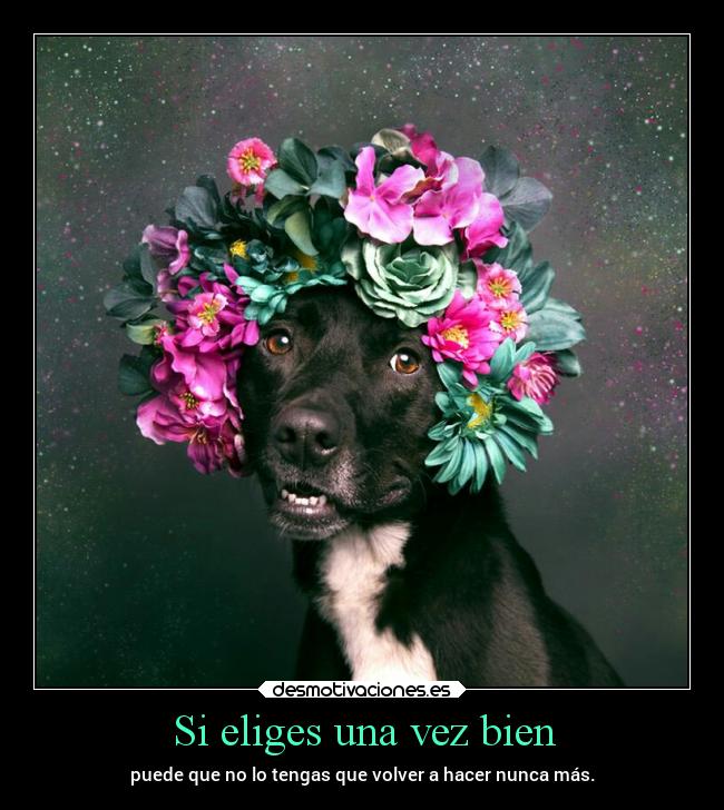 Si eliges una vez bien - 