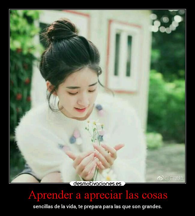 Aprender a apreciar las cosas -