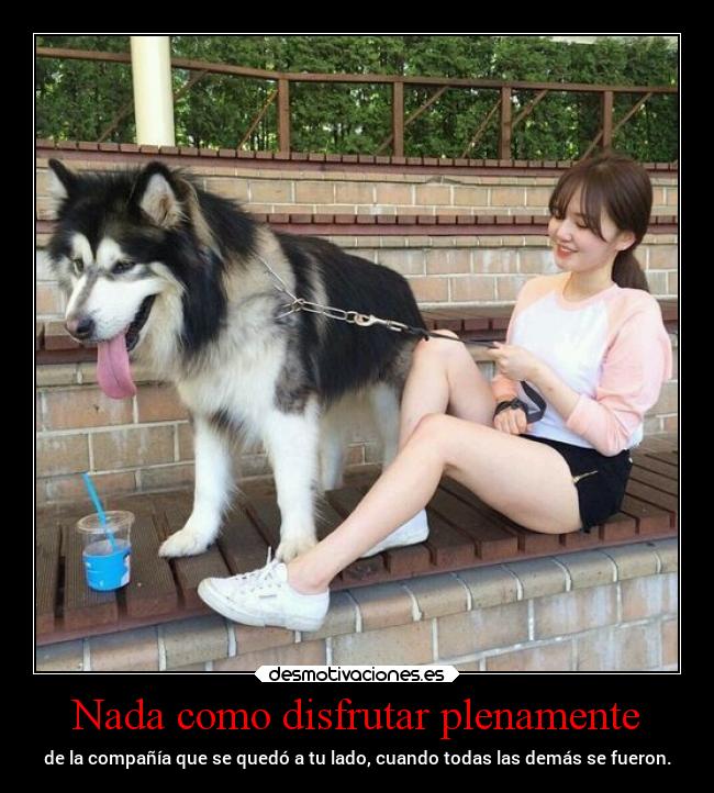 Nada como disfrutar plenamente -