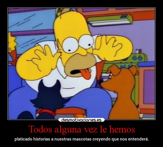 Todos alguna vez le hemos - platicado historias a nuestras mascotas creyendo que nos entenderá.