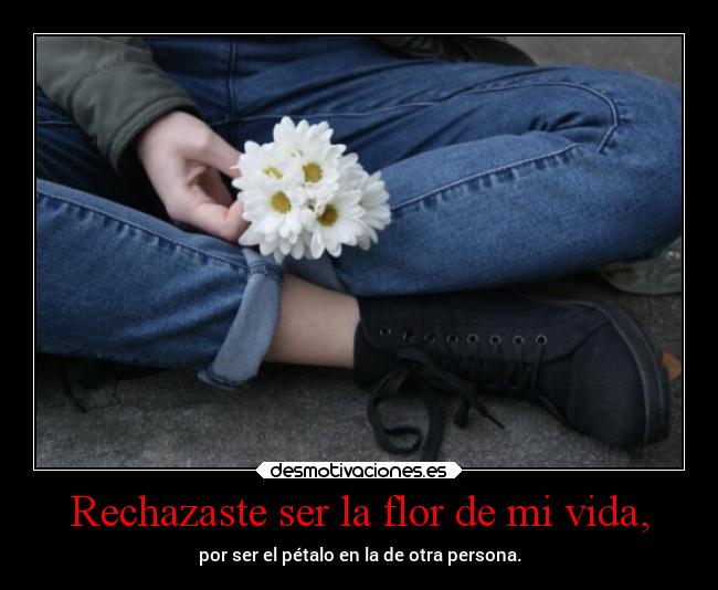 Rechazaste ser la flor de mi vida, - por ser el pétalo en la de otra persona.