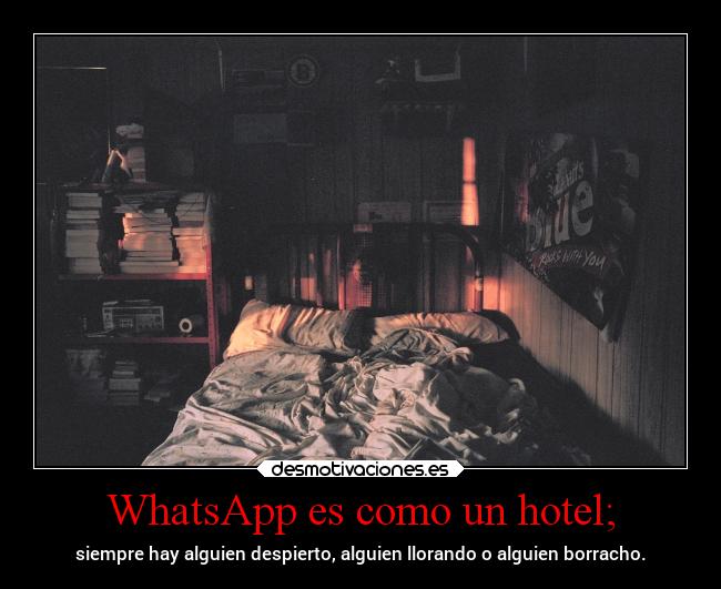 WhatsApp es como un hotel; - siempre hay alguien despierto, alguien llorando o alguien borracho.