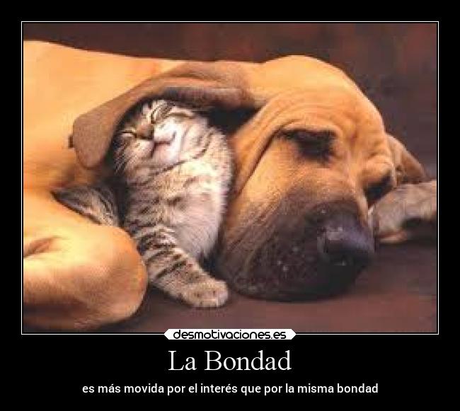 La Bondad - es más movida por el interés que por la misma bondad