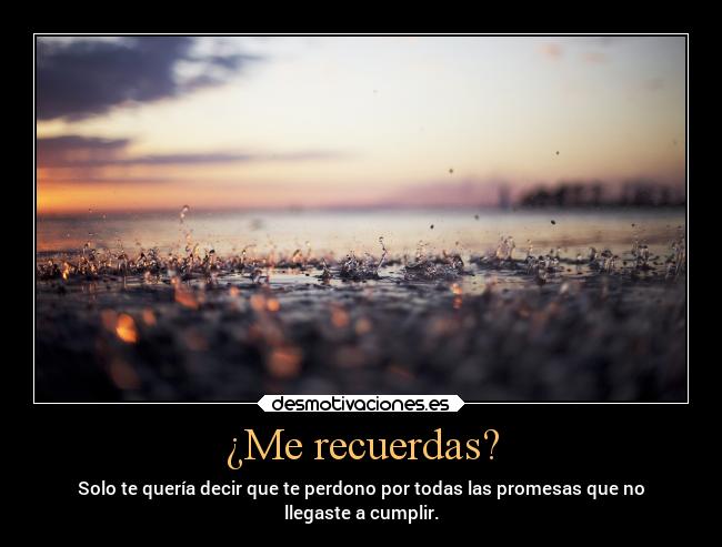 carteles amor desamor vida olvidar ojalavuelvas noteolvido tequierotodavia desmotivaciones