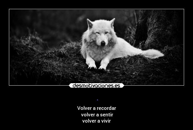 carteles amor jcks unaultimavez 1de10 desmotivaciones