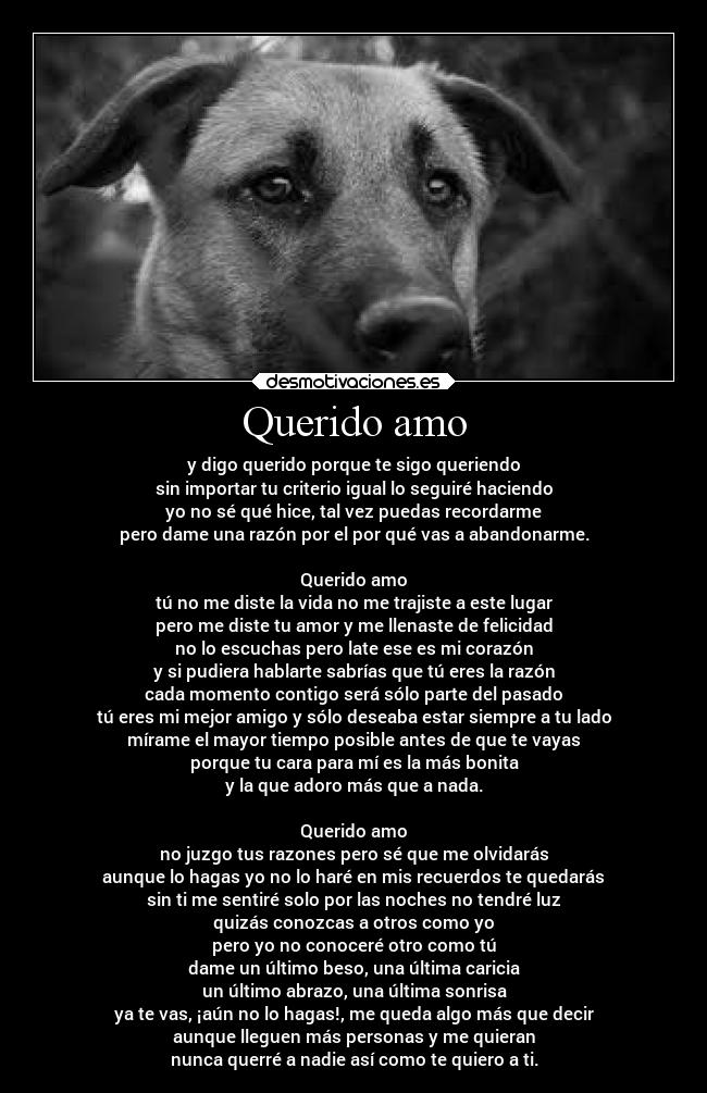 Querido amo - y digo querido porque te sigo queriendo
sin importar tu criterio igual lo seguiré haciendo
yo no sé qué hice, tal vez puedas recordarme
pero dame una razón por el por qué vas a abandonarme.

Querido amo
tú no me diste la vida no me trajiste a este lugar
pero me diste tu amor y me llenaste de felicidad
no lo escuchas pero late ese es mi corazón
y si pudiera hablarte sabrías que tú eres la razón
cada momento contigo será sólo parte del pasado
tú eres mi mejor amigo y sólo deseaba estar siempre a tu lado
mírame el mayor tiempo posible antes de que te vayas
porque tu cara para mí es la más bonita
y la que adoro más que a nada.

Querido amo
no juzgo tus razones pero sé que me olvidarás
aunque lo hagas yo no lo haré en mis recuerdos te quedarás
sin ti me sentiré solo por las noches no tendré luz
quizás conozcas a otros como yo
pero yo no conoceré otro como tú
dame un último beso, una última caricia
un último abrazo, una última sonrisa
ya te vas, ¡aún no lo hagas!, me queda algo más que decir
aunque lleguen más personas y me quieran
nunca querré a nadie así como te quiero a ti.