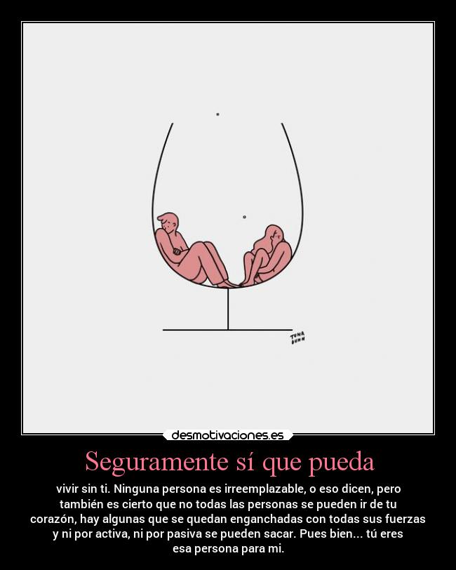 Seguramente sí que pueda - 