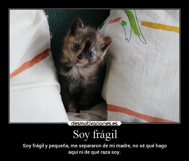 Soy frágil -