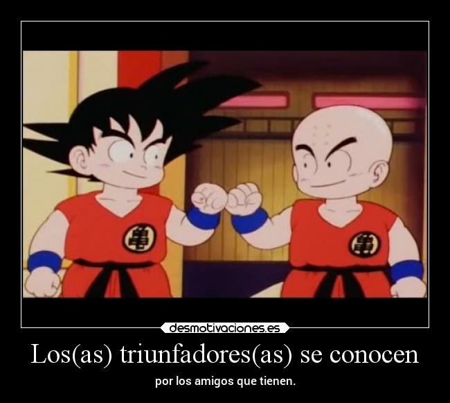 carteles anime amigos amistad frases dragonball goku krillin desmotivaciones