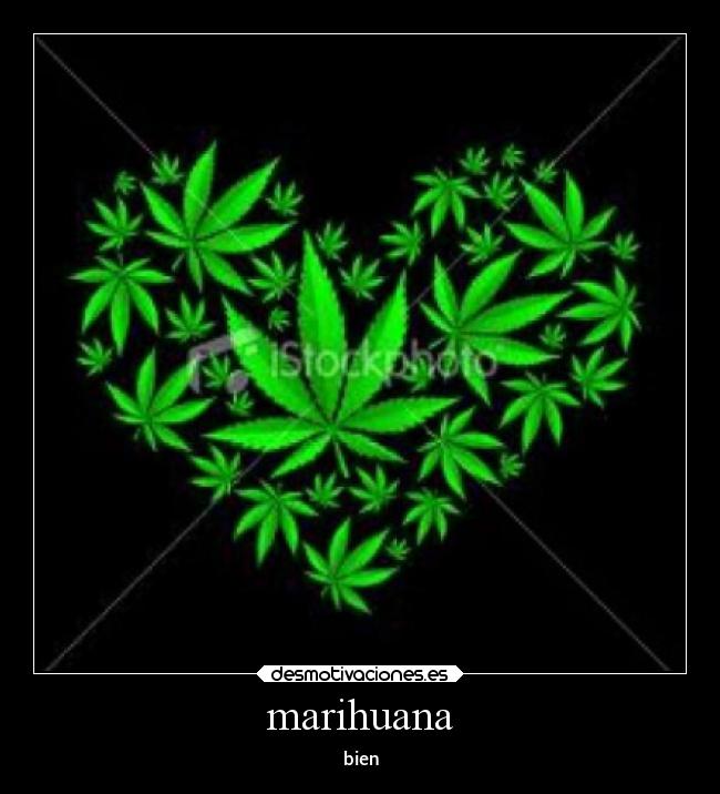 marihuana - bien